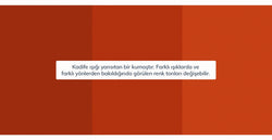 37363852247225 6.webp