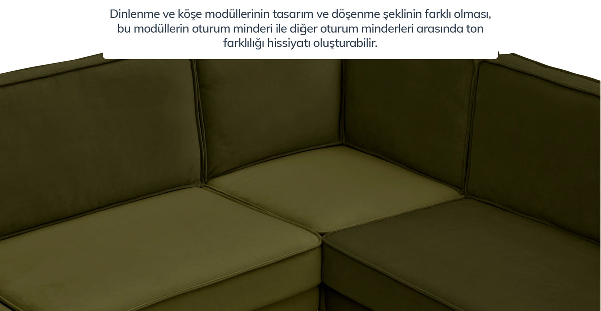 38525876895929 11.webp