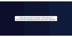 40076187041977 12.webp