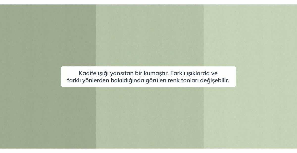 42495852347634 5.webp