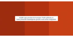 42582772777202 8.webp