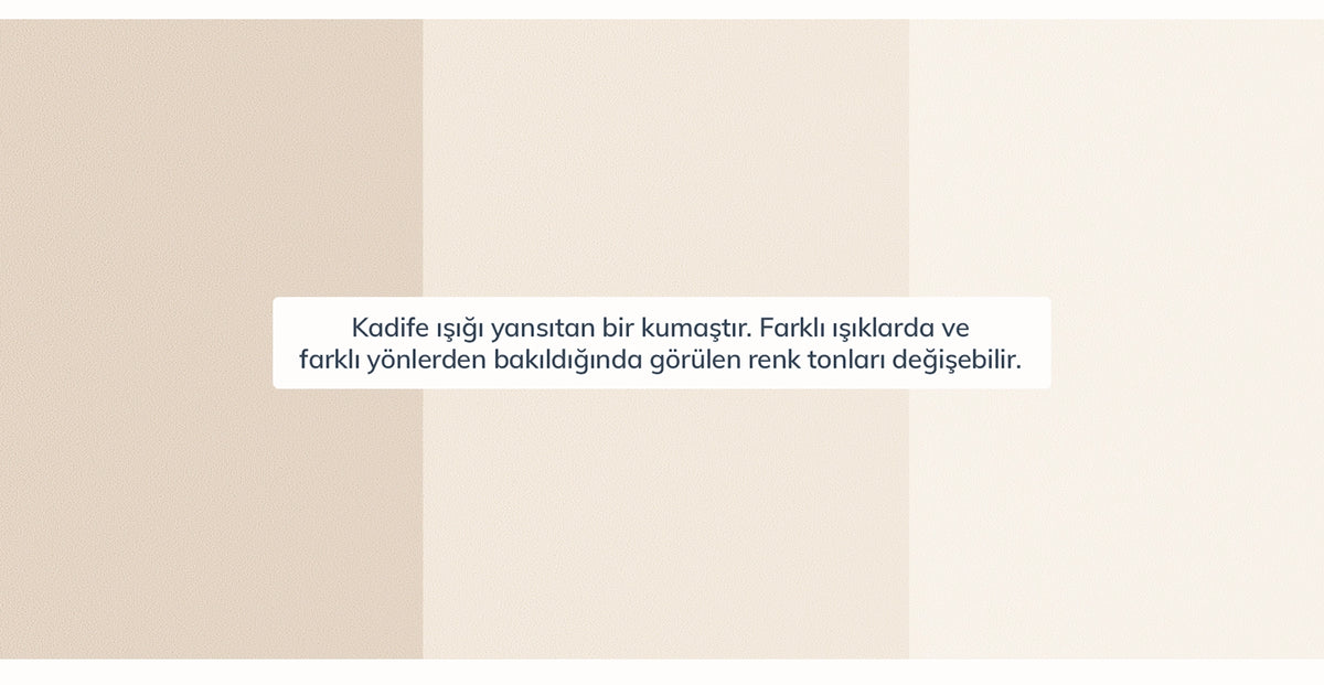 44391348928754 11.webp