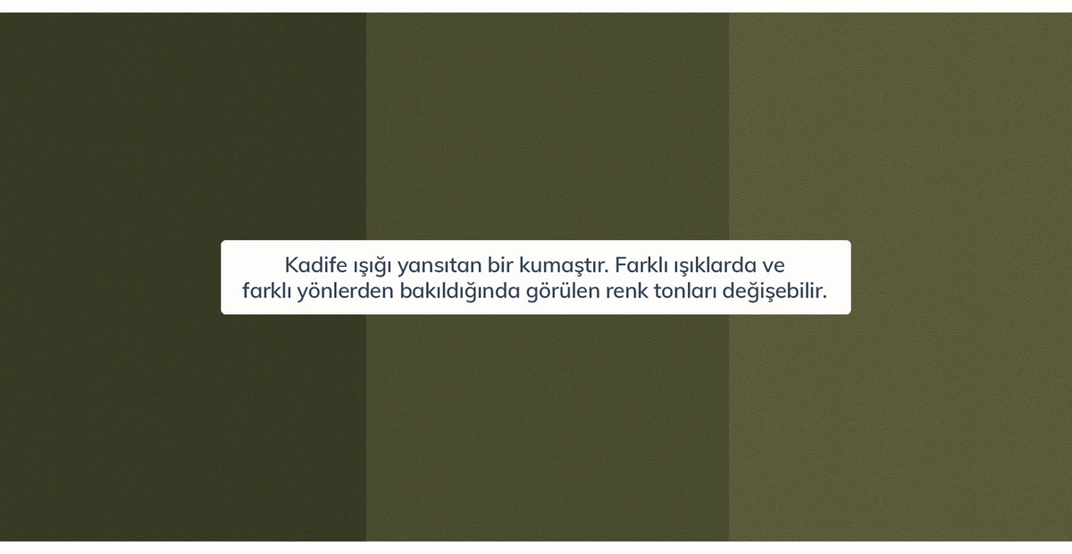 44608812089586 15.webp