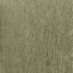 44620435554546 5.webp
