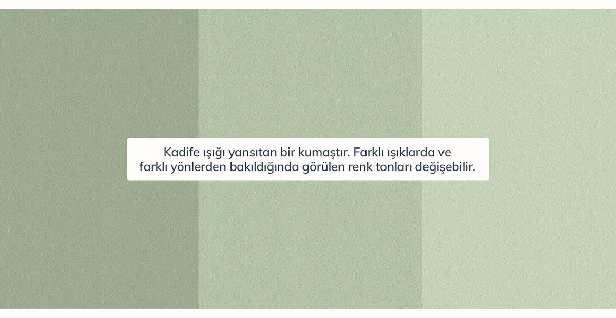45195686281458 13.webp