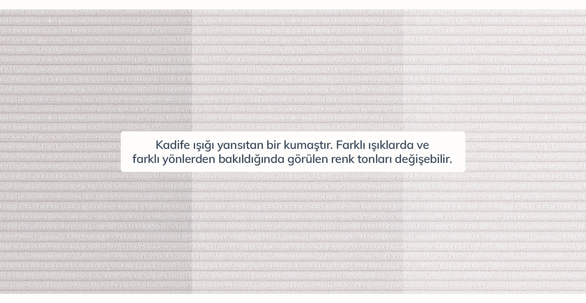 45195697357042 13.webp
