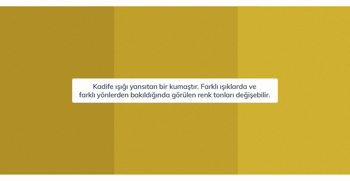 45195697684722 12.webp