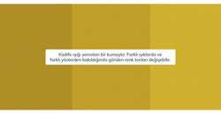 45195697684722 12.webp