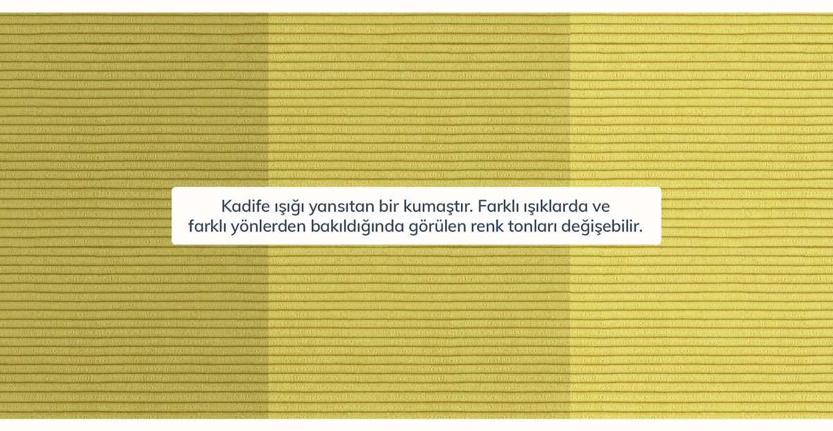 45195698864370 18.webp