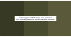 45195699323122 17.webp